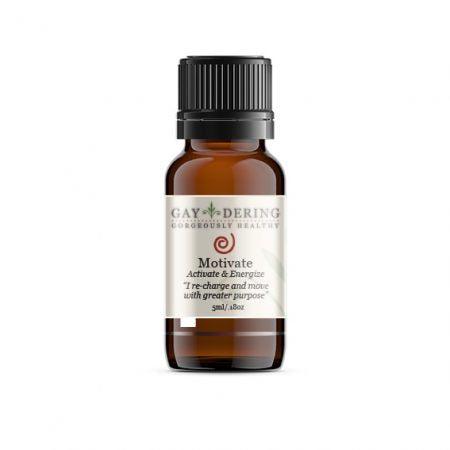 Portal Oil Synergy - Motivate